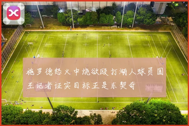 施罗德怒火中烧欲殴打湖人球员国王记者证实目标正是东契奇