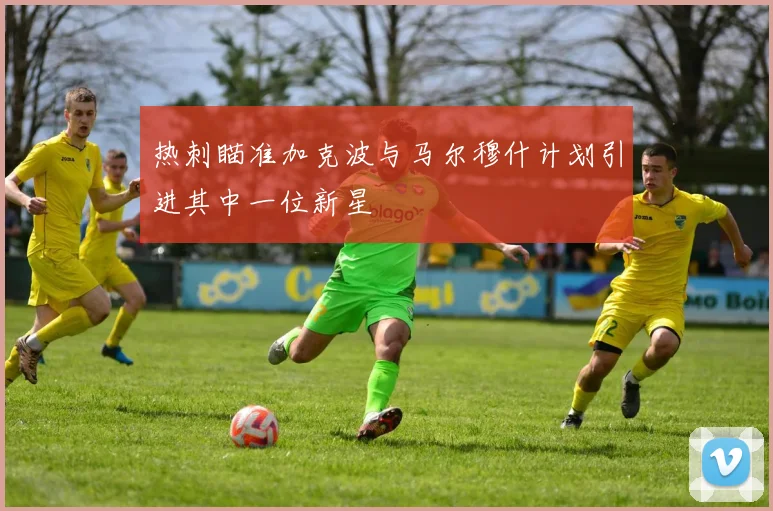 热刺瞄准加克波与马尔穆什计划引进其中一位新星