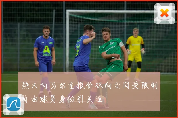 热火向戈尔金报价双向合同受限制自由球员身份引关注